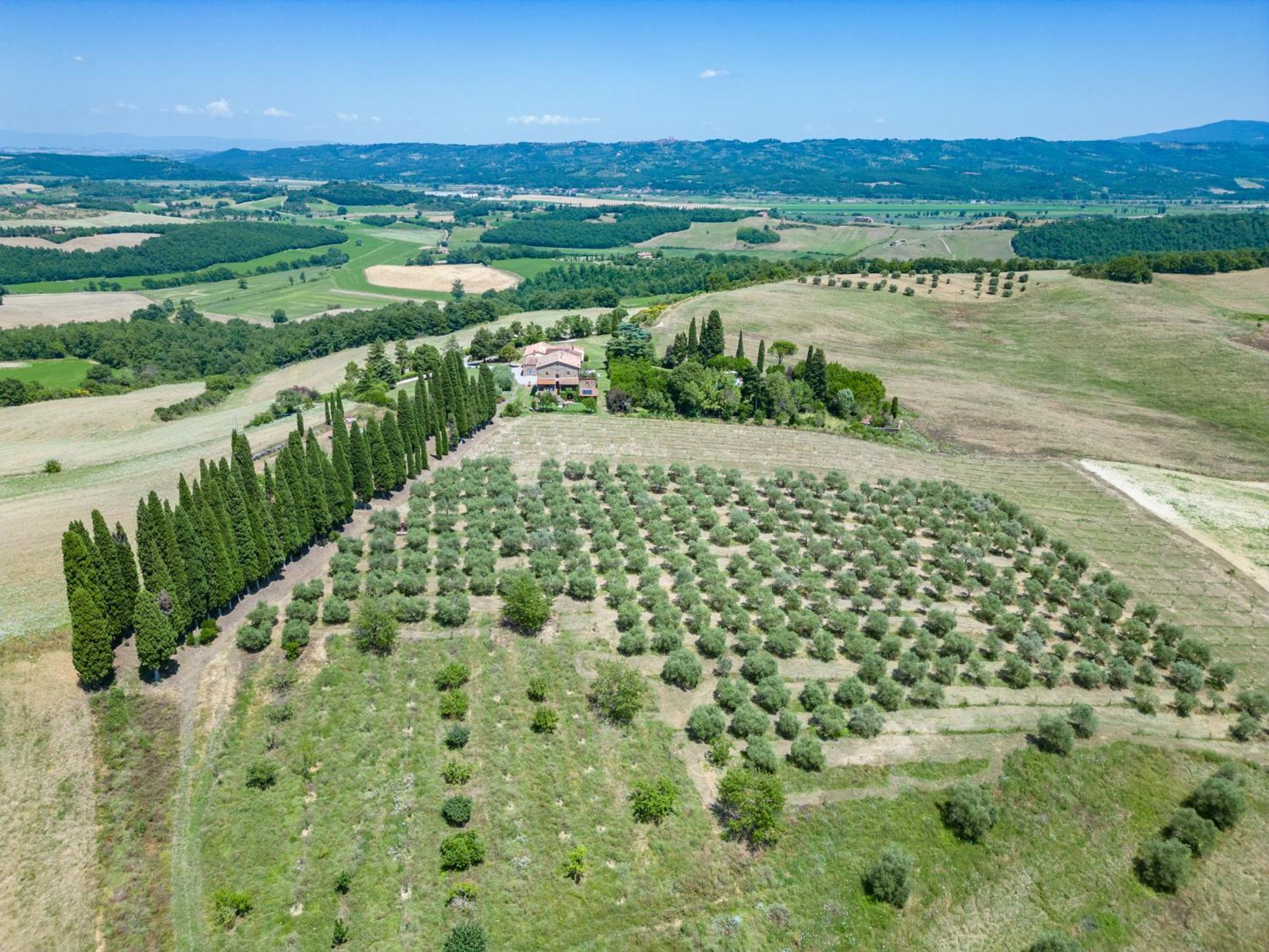 Agriturismo Spazzavento Palazzone 外观 照片