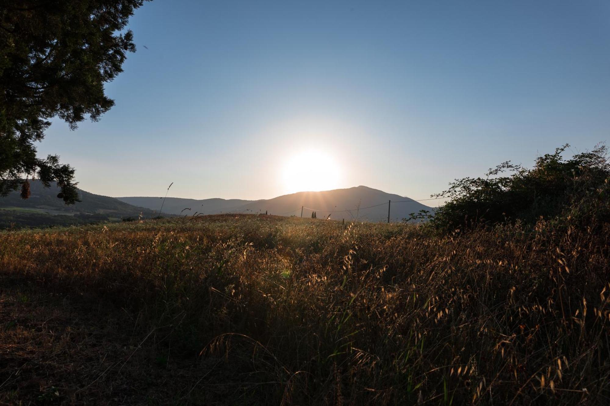 Agriturismo Spazzavento Palazzone 外观 照片